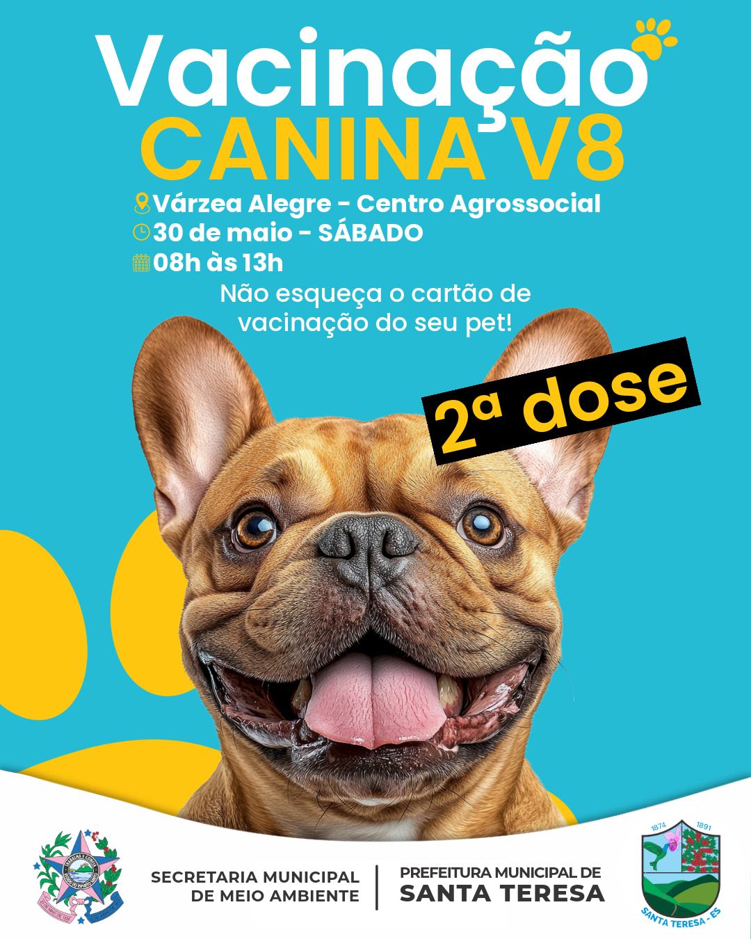 Prefeitura de Santa Teresa realiza ação de vacinação V8 e imuniza 130 cães no município
