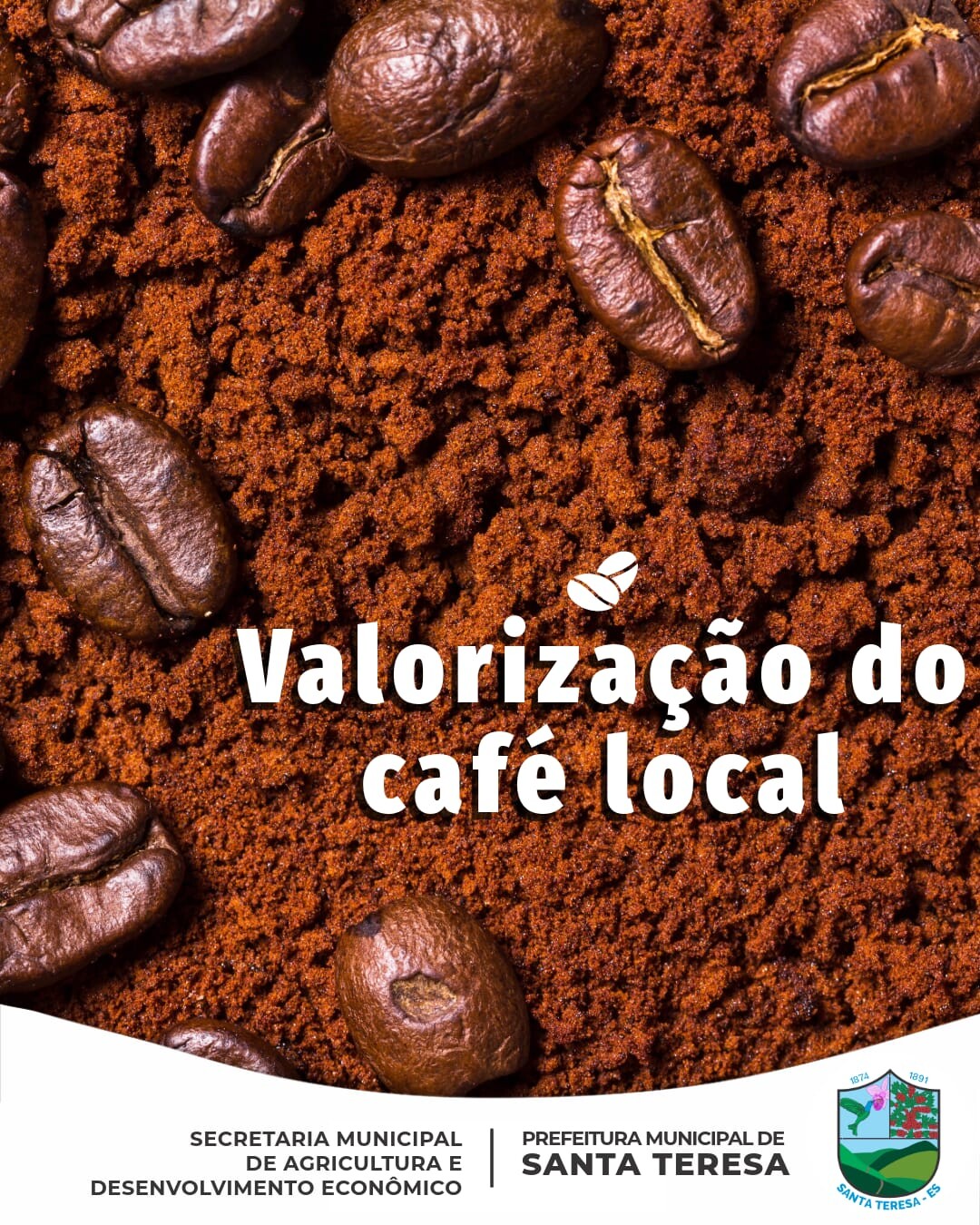 Produtores de Santa Teresa vão fornecer cafés especiais à administração municipal